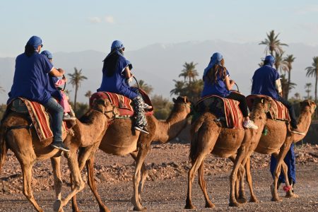 1 heure de balade à dos de chameau au coucher du soleil, avec transport inclus